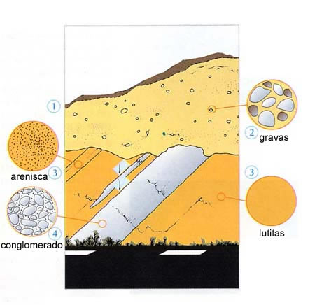 Tall de terreny amb els diferents minerals i materials identificats