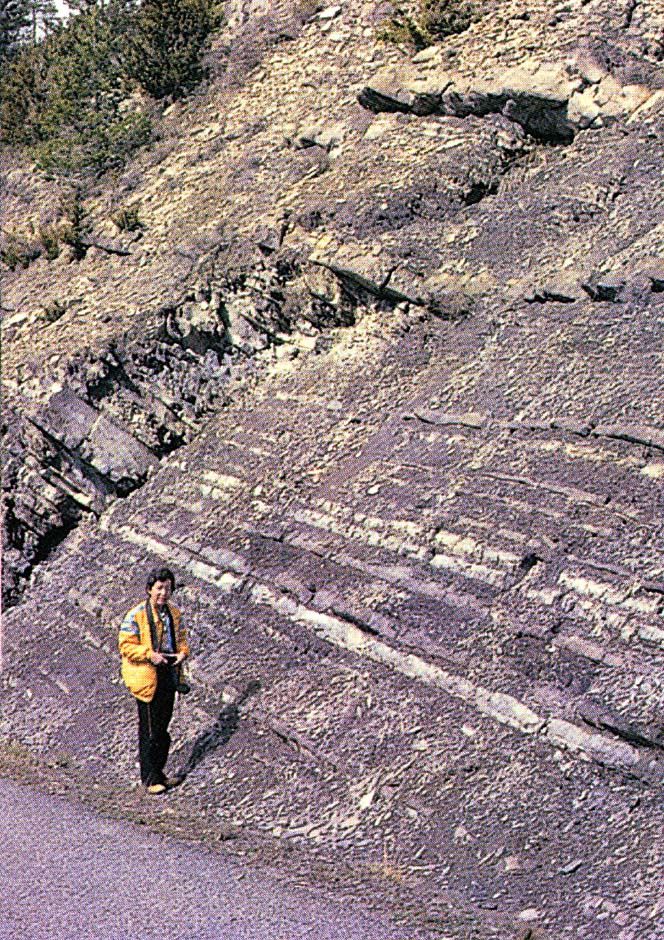 Geóloga al lado de una roca que presenta estratificaciones
