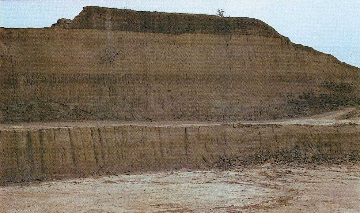 Corte de roca que presenta estratificaciones verticales