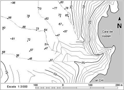 Mapa topogràfic amb línies i punts de nivell de la zona de la Cala del Vedell