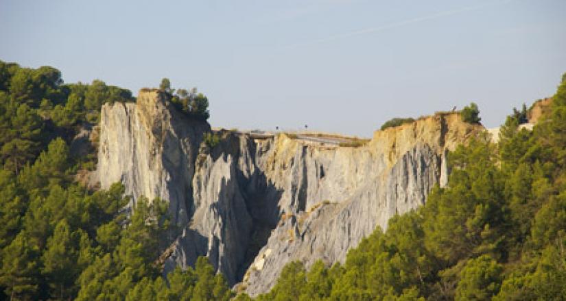 Riera de Sant Jaume - Ribes Blaves