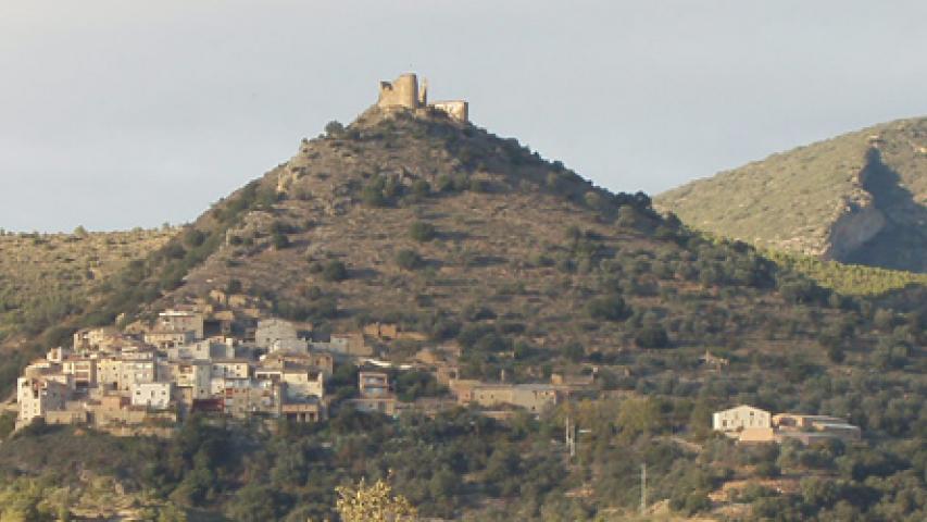 SEDIMENTACIÓN COSTERA EN UNA CUENCA DE ANTEPAÍS: LA ARENISCA DE ARÉN (CRETACICO SUPERIOR; CUENCA SURPIRENAICA CENTRAL)